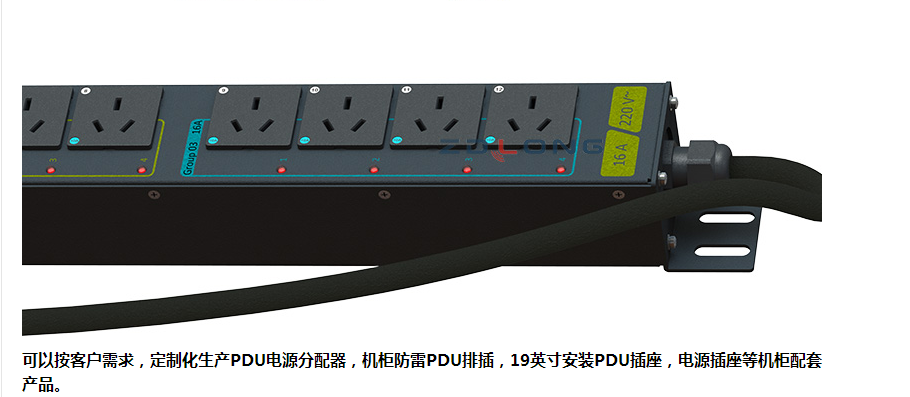供应天津津南12位智能pdu电源分配器,机房配套智能pdu排插世纪盾